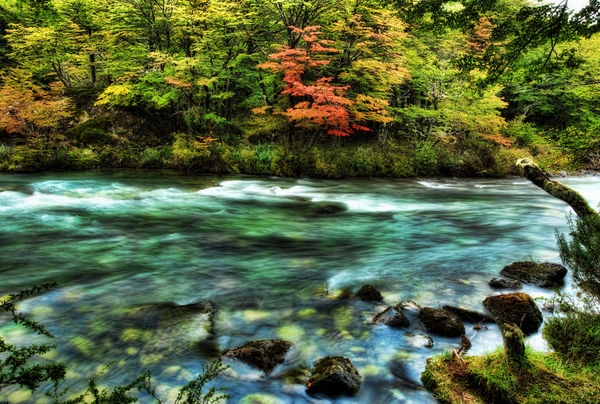 The River Passed the Quivering Forest in the Autumn